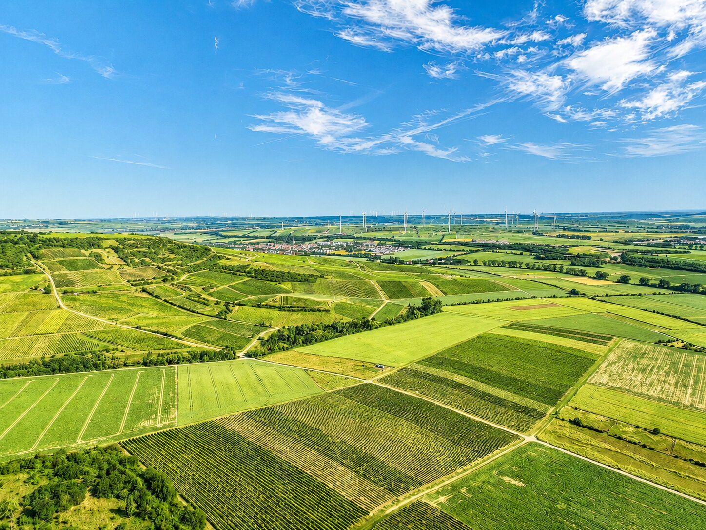 Felder und Weinberge rund um Sprendlingen